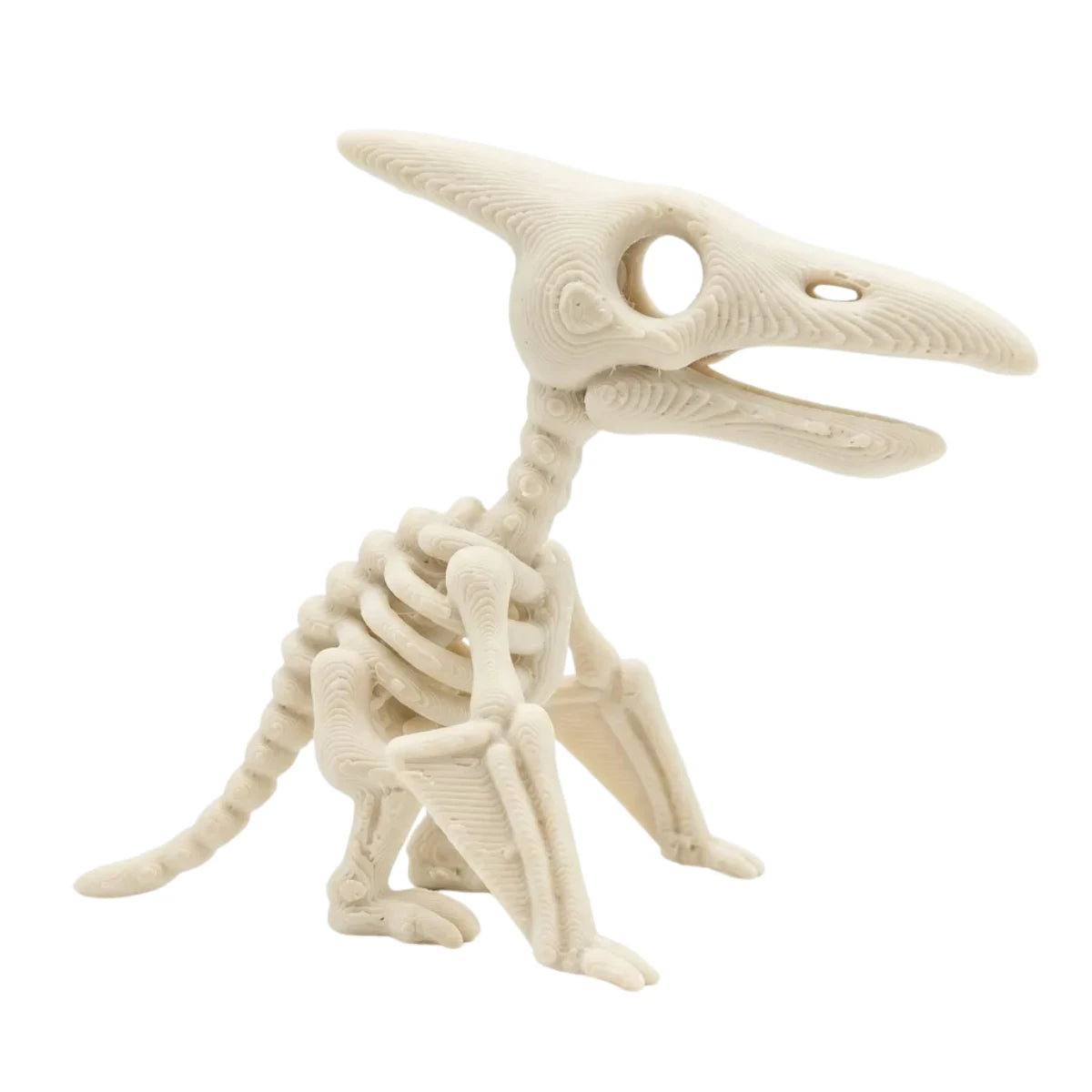 Figura 3D Pterodáctilo Esqueleto Fósil 6.4 cm