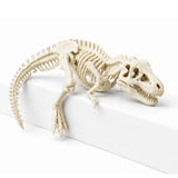 Figura 3D T-Rex Mascota para Monitor Esqueleto Fósil 11.9 cm
