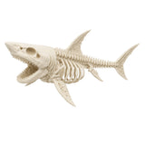 Figura 3D Tiburón Esqueleto Fósil 10 cm