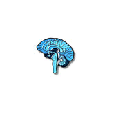 Pin Metálico Cerebro Azul Sección Lateral