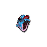 Pin Metálico Corazón Azul y Rojo Anatómico