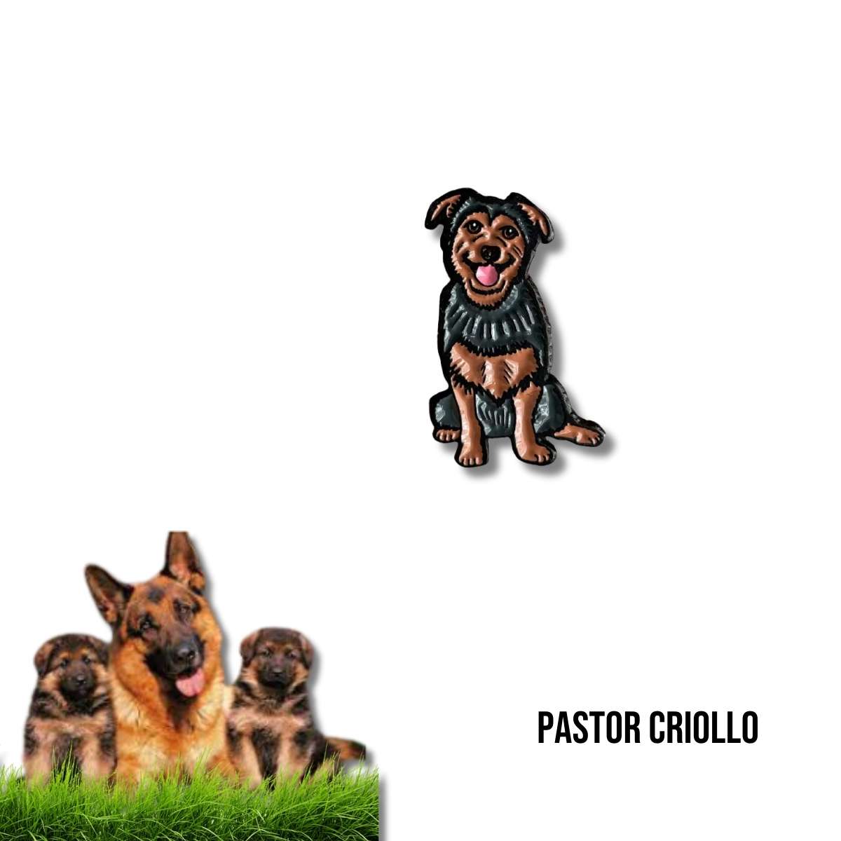 Pin Metálico Pastor Criollo