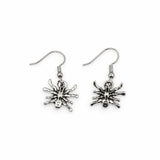 Aretes Metálicos Araña