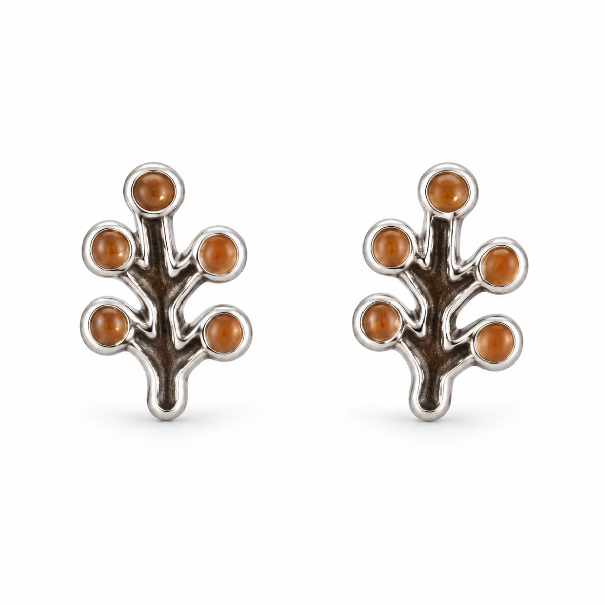Aretes Rama con Frutos