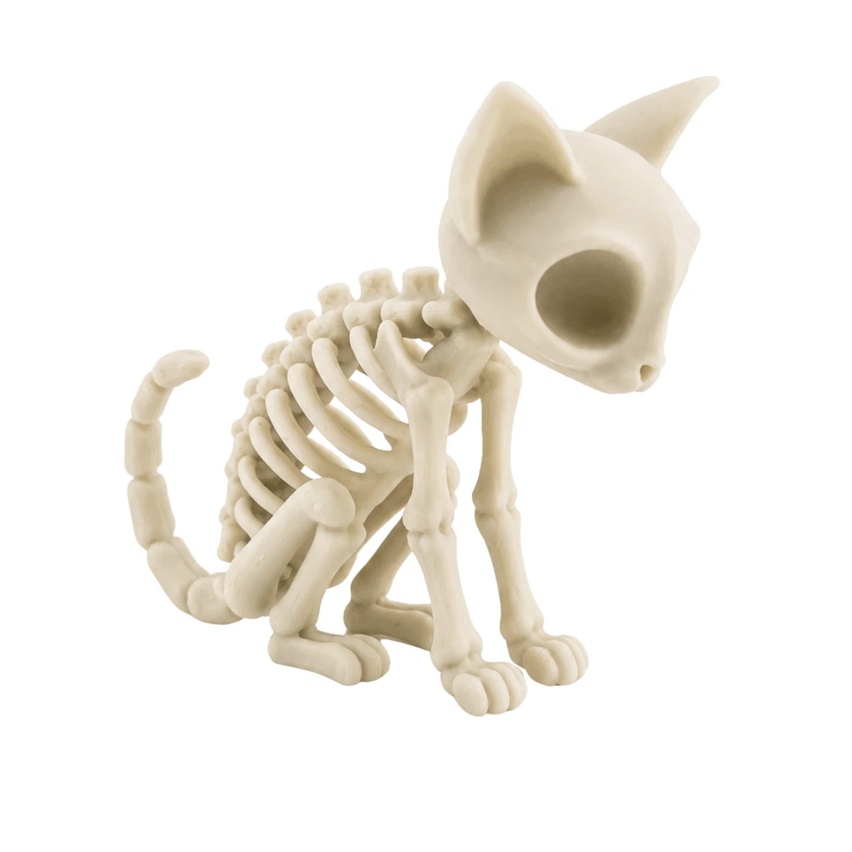 Figura 3D Gato Esqueleto Fósil Sentado 7.4 cm