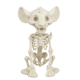 Figura 3D Simba Esqueleto Fósil Sentado 10.4 cm