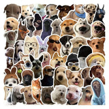 Pack x 5 Stickers Perros