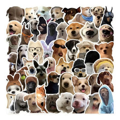 Pack x 5 Stickers Perros