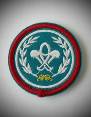 Parche Camiseta Laurel Vintage