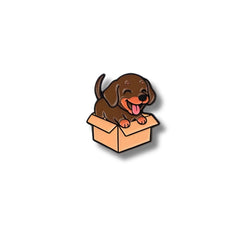 Pin Metálico Cachorro Salchicha Caja Sorpresa