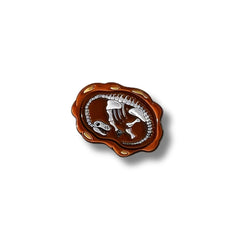 Pin Metálico Fósil de Braquiosaurio