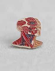 Pin Metálico Cabeza Anatómica Músculos