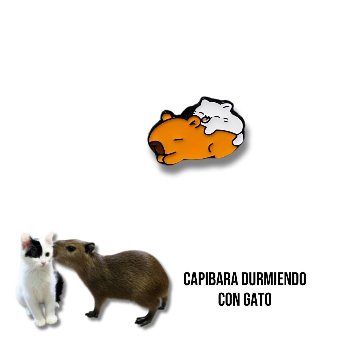 Pin Metálico Capibara Durmiendo con Gato