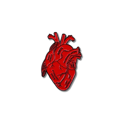 Pin Metálico Corazón Anatómico