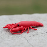 USB 16 Gb Langosta